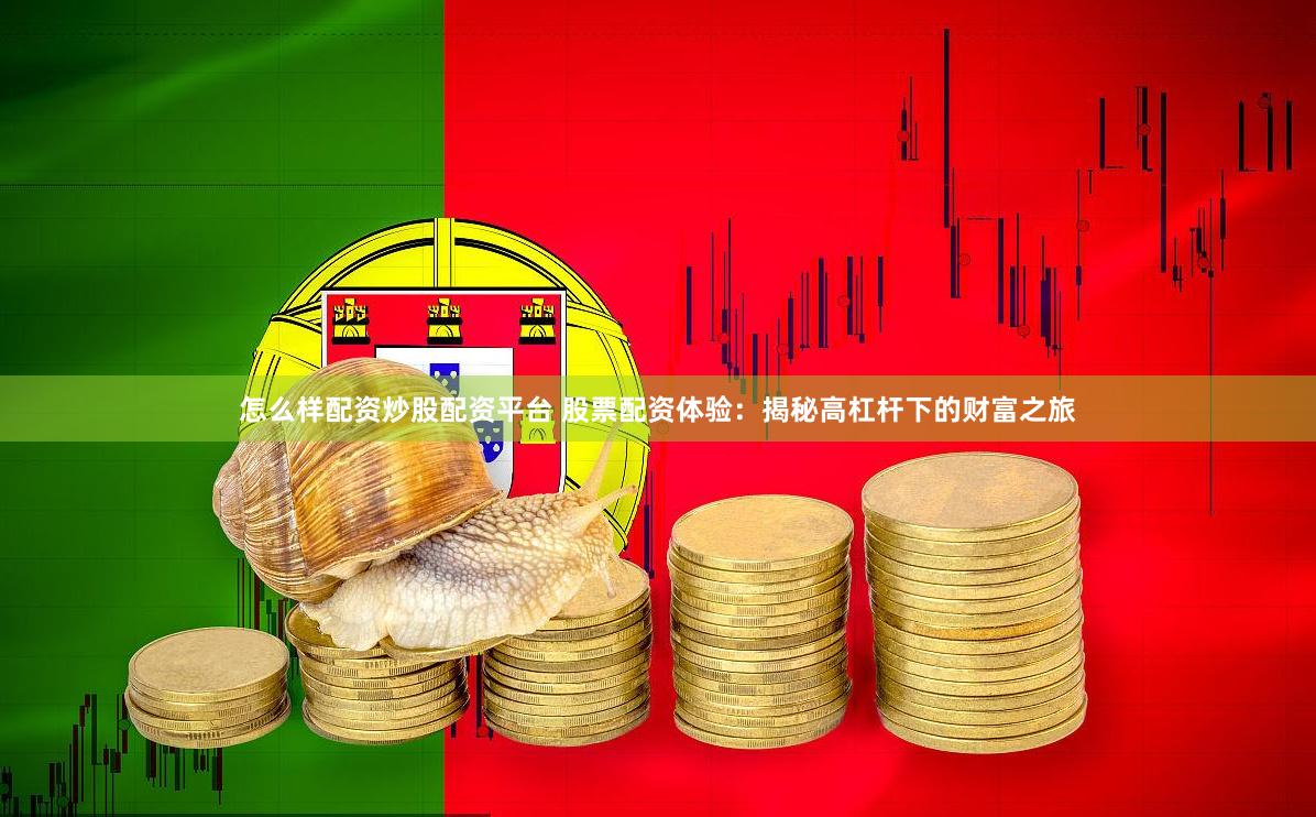 怎么样配资炒股配资平台 股票配资体验：揭秘高杠杆下的财富之旅