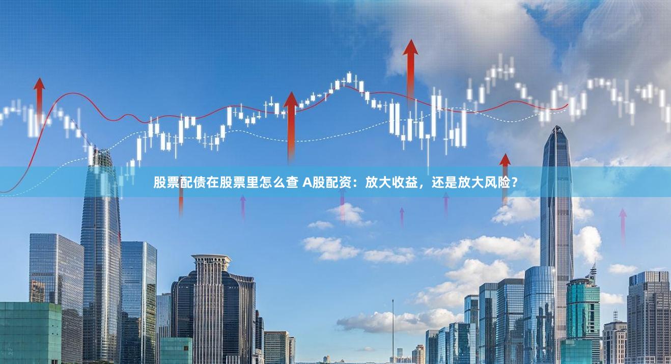 股票配债在股票里怎么查 A股配资：放大收益，还是放大风险？