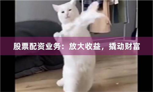 股票配资业务：放大收益，撬动财富