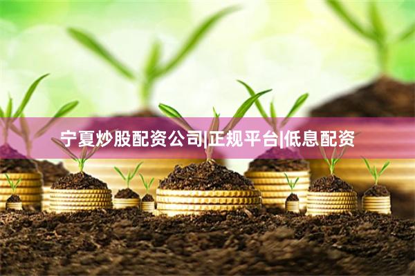 宁夏炒股配资公司|正规平台|低息配资