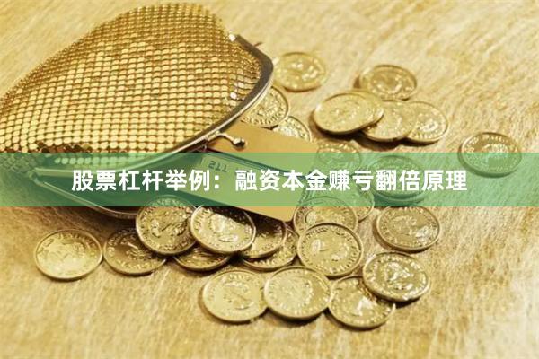 股票杠杆举例：融资本金赚亏翻倍原理